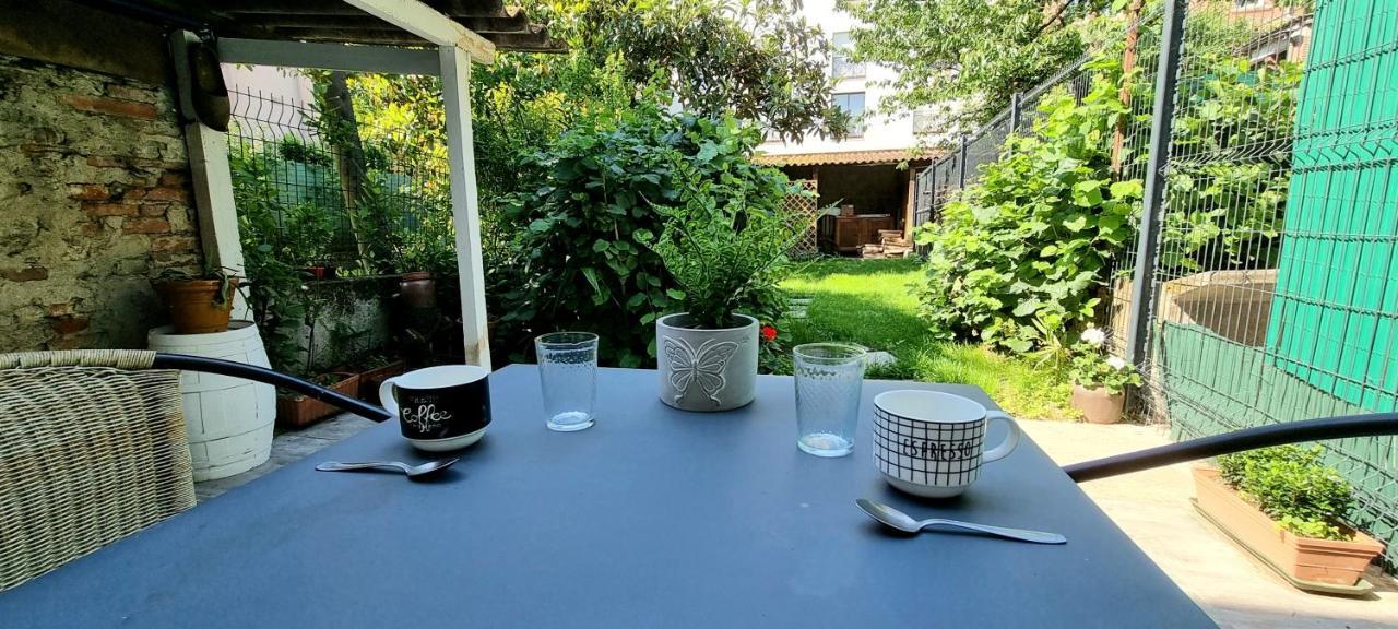 Studio Simone - Terrasse Et Jardin - Tv - Wifi Тулуза Екстериор снимка