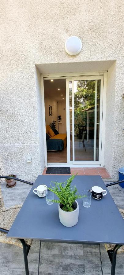 Studio Simone - Terrasse Et Jardin - Tv - Wifi Тулуза Екстериор снимка