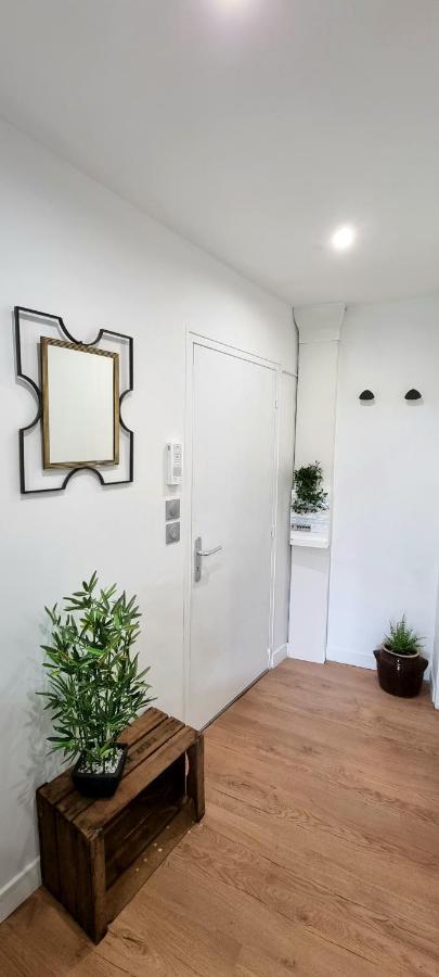 Studio Simone - Terrasse Et Jardin - Tv - Wifi Тулуза Екстериор снимка