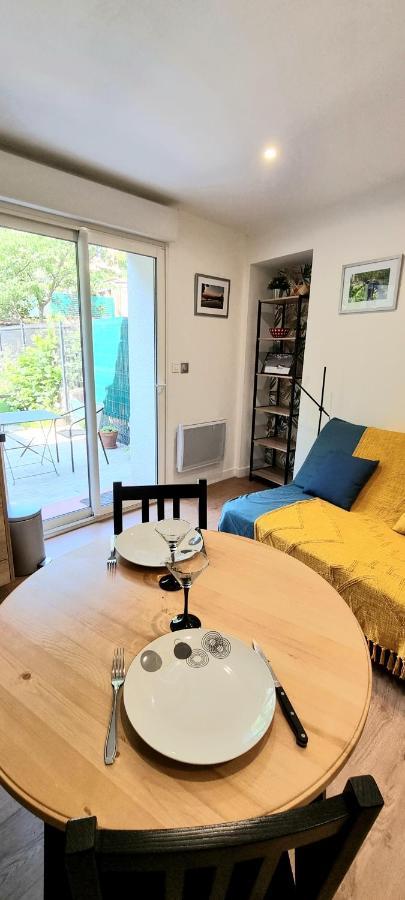 Studio Simone - Terrasse Et Jardin - Tv - Wifi Тулуза Екстериор снимка