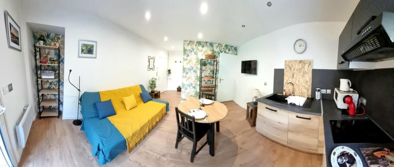 Studio Simone - Terrasse Et Jardin - Tv - Wifi Тулуза Екстериор снимка